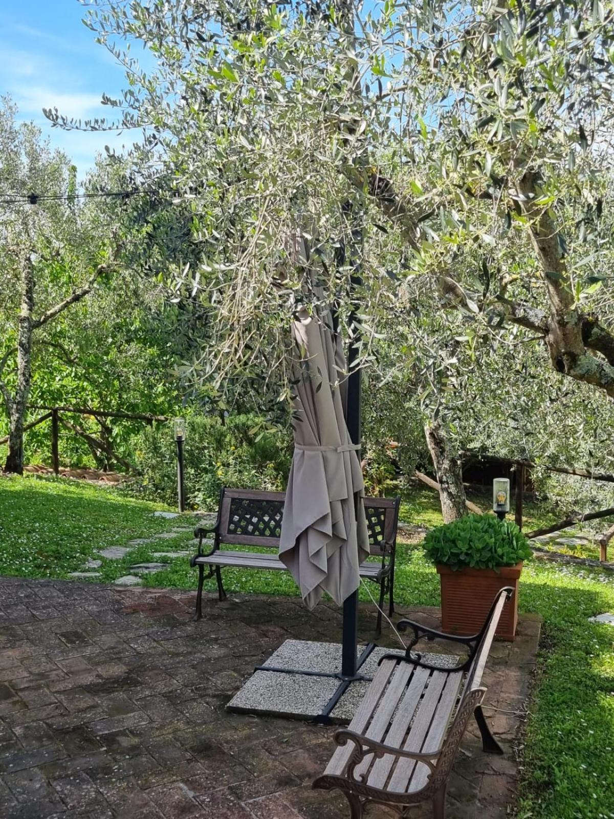 Гостьовий будинок Dimora Nel Chianti San Sano Екстер'єр фото