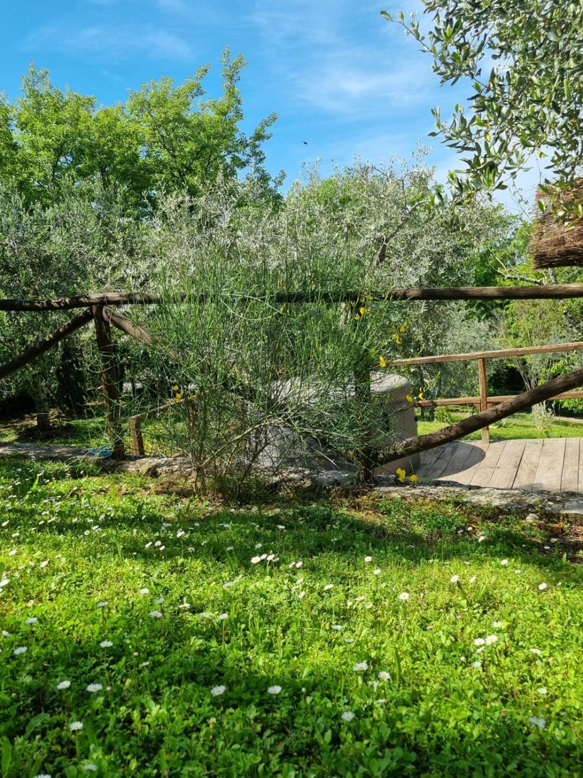 Гостьовий будинок Dimora Nel Chianti San Sano Екстер'єр фото