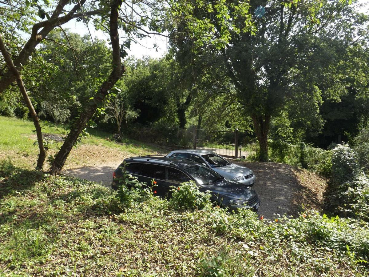 Гостьовий будинок Dimora Nel Chianti San Sano Екстер'єр фото