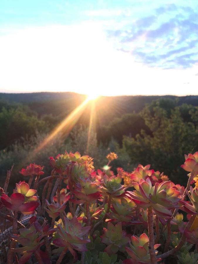 Гостьовий будинок Dimora Nel Chianti San Sano Екстер'єр фото